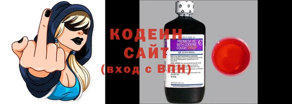 прущие грибы Абаза