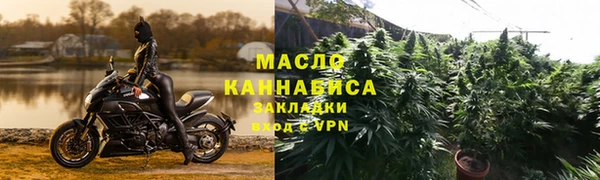 прущие грибы Абаза