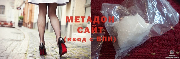 прущие грибы Абаза