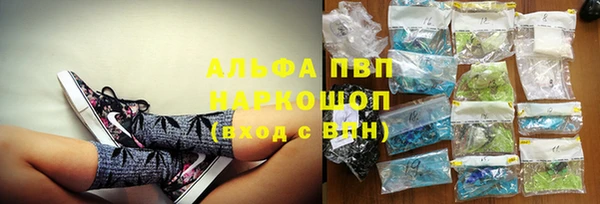 ГАЛЛЮЦИНОГЕННЫЕ ГРИБЫ Осташков